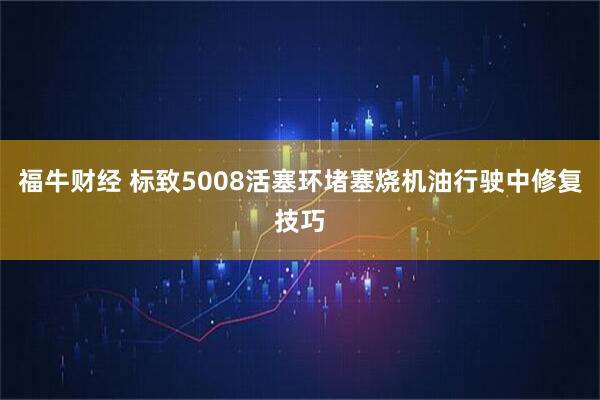 福牛财经 标致5008活塞环堵塞烧机油行驶中修复技巧